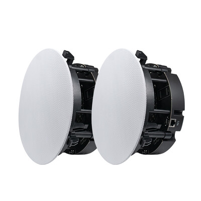 DW2235 6,5 pulgadas 2-Way estéreo WiFi y altavoces de techo Bluetooth