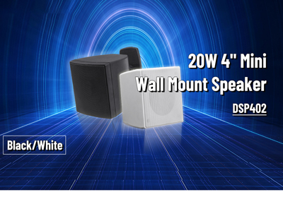 DSP402 20W 4 pulgadas mini altavoz de montaje en pared