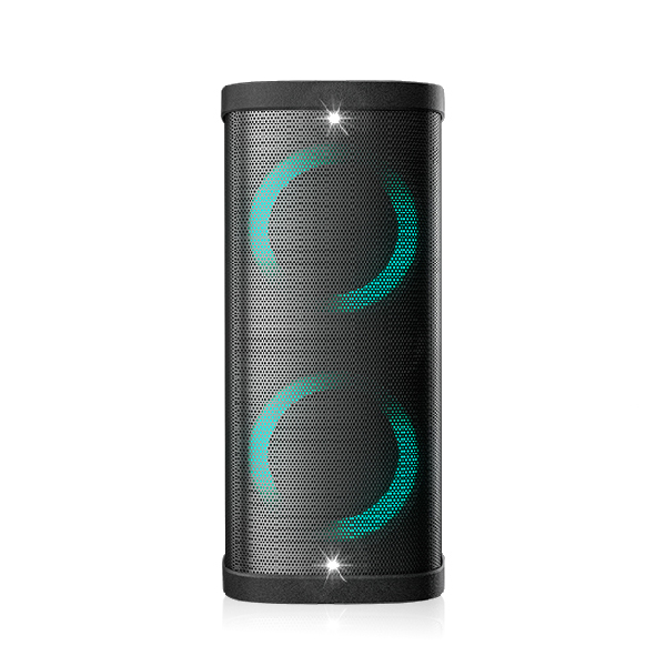 DSP2813 Dual 8'' Multifunctional Portable Bluetooth Party Speaker