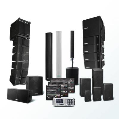 DSPPA Pro Audio System