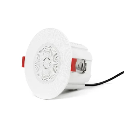 DSP102L 2.5'' 10W Ceiling Speaker with Cover - 翻译中...