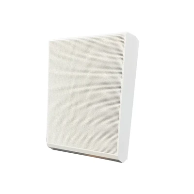 DSP115 5.5 Inch 6W Wall Mount Speaker - 翻译中...