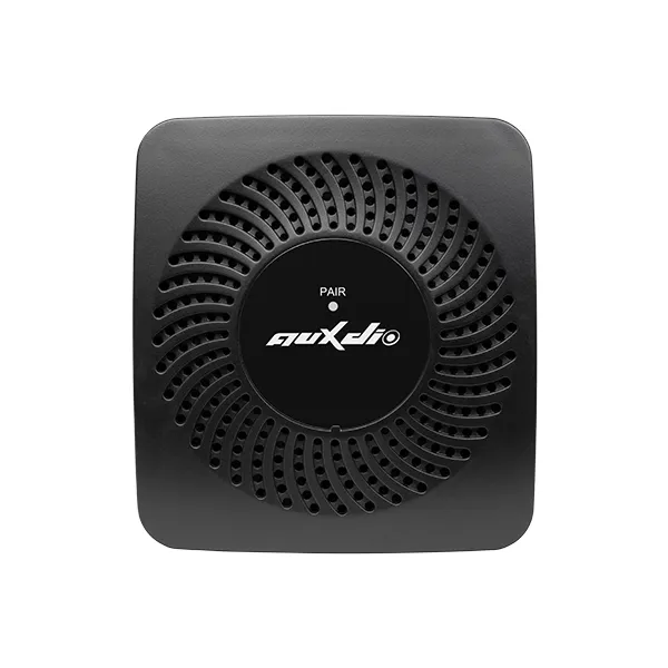 AM6505 Wireless Rear Surround Power Amplifier - 翻译中...